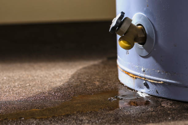 Trusted CA Water damage restoration Experts