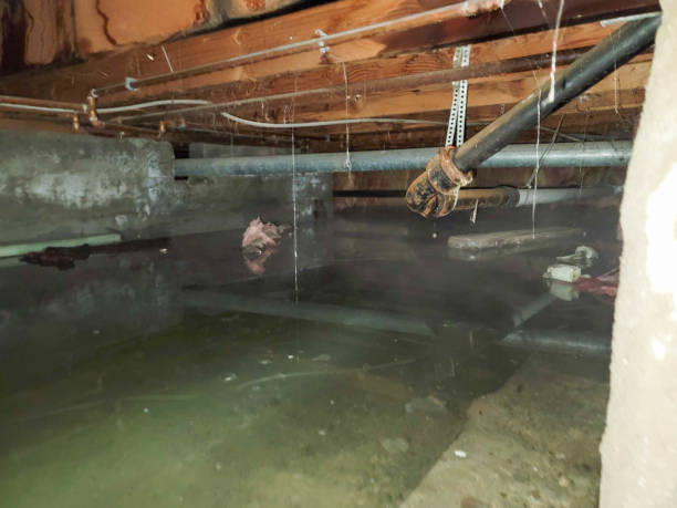 Best Residential water damage restoration  in Brawley, CA