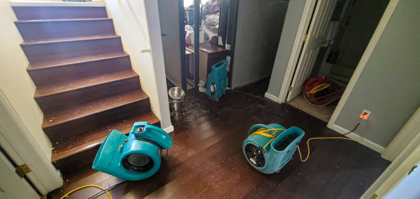 Best Carpet water damage restoration  in Brawley, CA