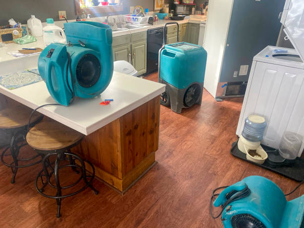 Best Flood damage cleanup  in Brawley, CA
