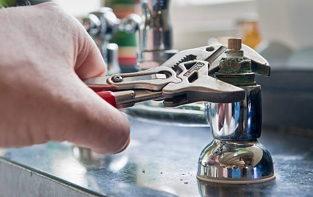 Best Mold removal after water damage  in Brawley, CA