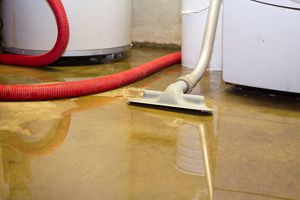  Brawley, CA Water damage restoration Pros