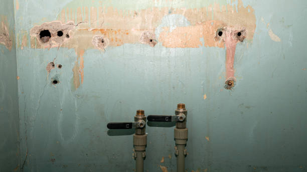 Best Sewage cleanup and water damage restoration  in Brawley, CA