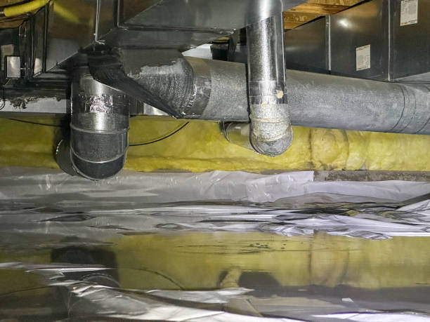 Best Local water damage restoration  in Brawley, CA