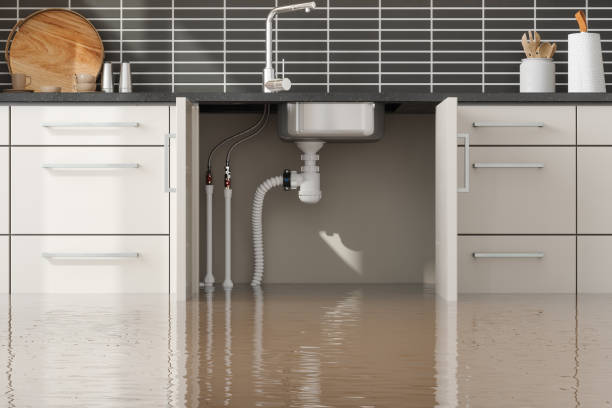 Best Sewage cleanup and water damage restoration  in Brawley, CA