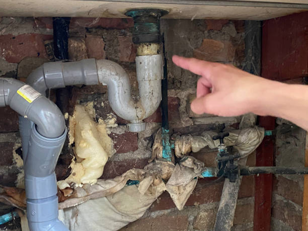 Best Flooded house restoration  in Brawley, CA